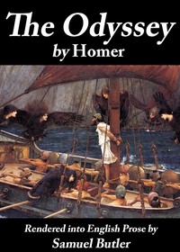 Cover of The Odyssey: Rendered into English prose for the use of those who cannot read the original by Homer